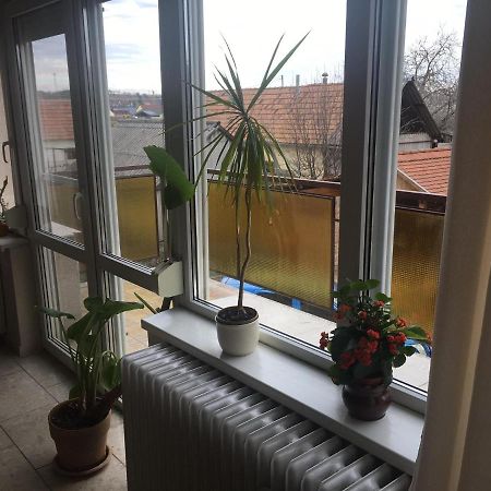 Tompos Vendeghaz Es Pince Hotell Villány Eksteriør bilde